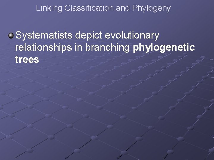 Linking Classification and Phylogeny Systematists depict evolutionary relationships in branching phylogenetic trees 