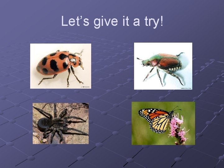 Let’s give it a try! 