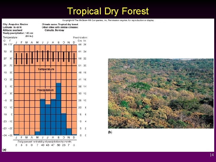 Tropical Dry Forest 14 