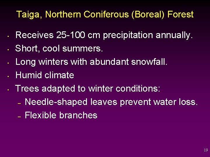 Taiga, Northern Coniferous (Boreal) Forest • • • Receives 25 -100 cm precipitation annually.