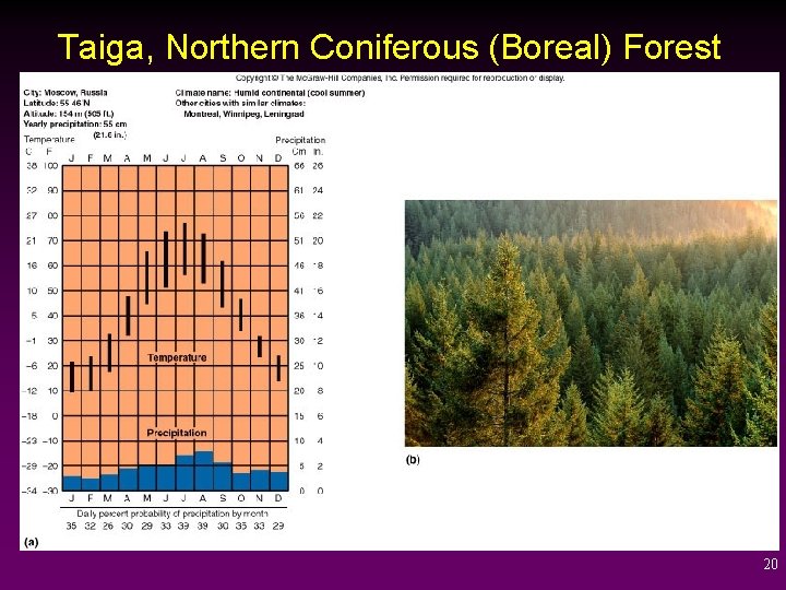 Taiga, Northern Coniferous (Boreal) Forest 20 
