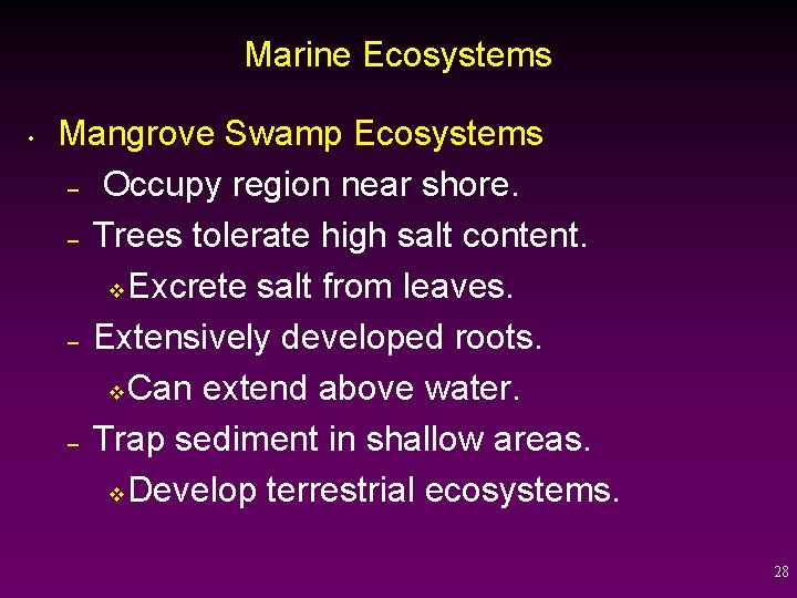 Marine Ecosystems • Mangrove Swamp Ecosystems – Occupy region near shore. – Trees tolerate