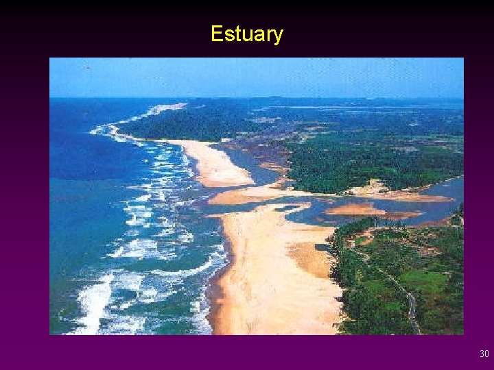 Estuary 30 