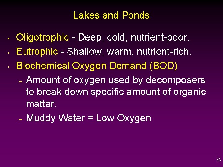 Lakes and Ponds • • • Oligotrophic - Deep, cold, nutrient-poor. Eutrophic - Shallow,