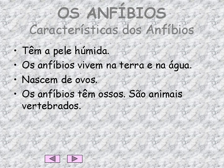 OS ANFÍBIOS Características dos Anfíbios • • Têm a pele húmida. Os anfíbios vivem