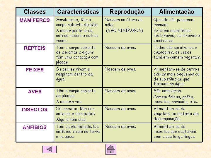 Classes Características Reprodução MAMÍFEROS Geralmente, têm o corpo coberto de pêlo. A maior parte