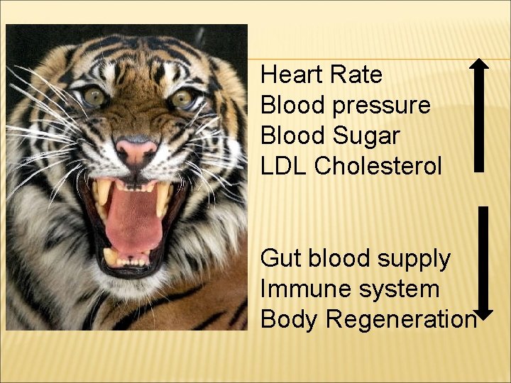 Heart Rate Blood pressure Blood Sugar LDL Cholesterol Gut blood supply Immune system Body
