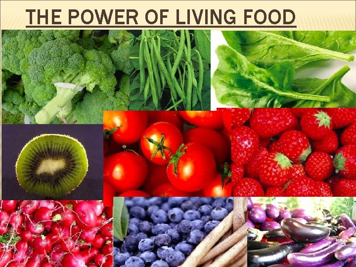 THE POWER OF LIVING FOOD 