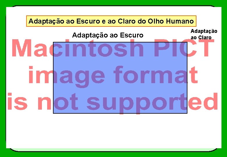 Adaptação ao Escuro e ao Claro do Olho Humano Adaptação ao Escuro Adaptação ao