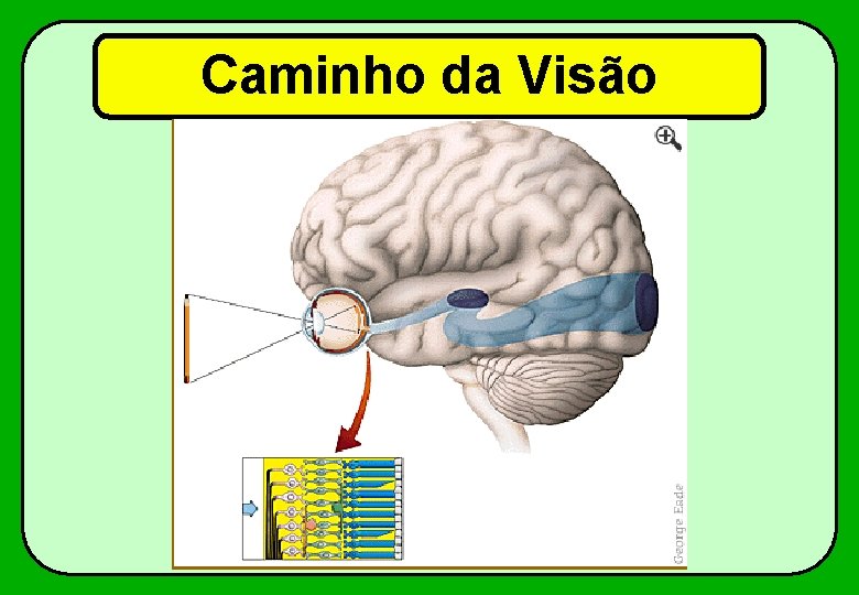 Caminho da Visão 