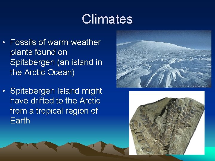 Climates • Fossils of warm-weather plants found on Spitsbergen (an island in the Arctic