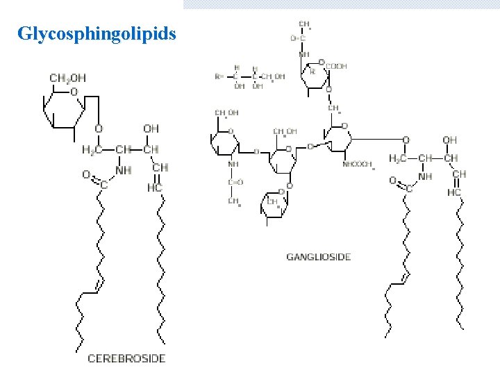 Glycosphingolipids 