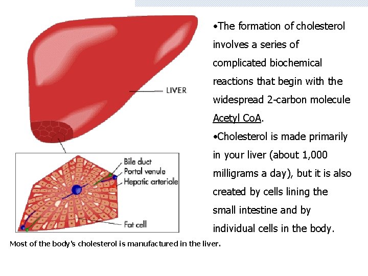  • The formation of cholesterol involves a series of complicated biochemical reactions that