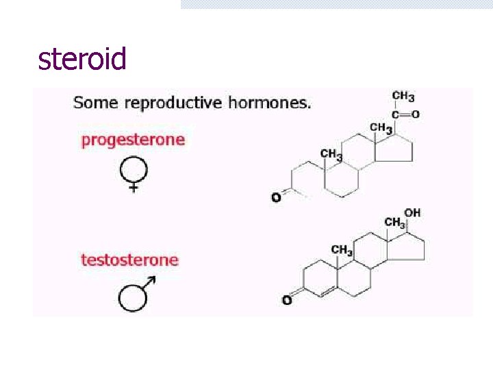 steroid 