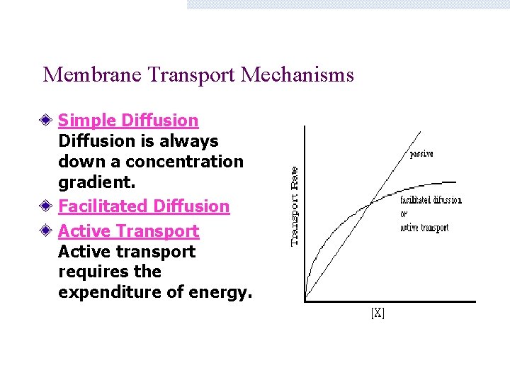 Membrane Transport Mechanisms Simple Diffusion is always down a concentration gradient. Facilitated Diffusion Active