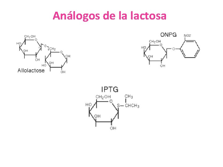 Análogos de la lactosa 