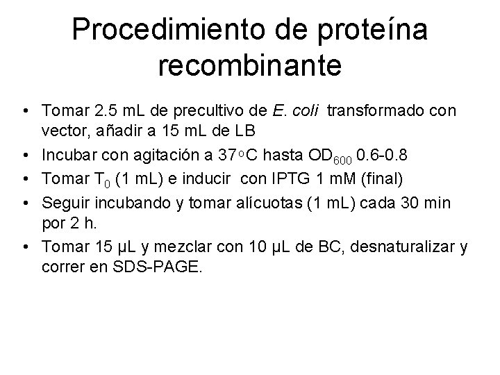 Procedimiento de proteína recombinante • Tomar 2. 5 m. L de precultivo de E.