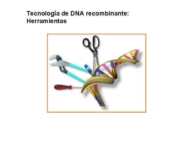 Tecnología de DNA recombinante: Herramientas 