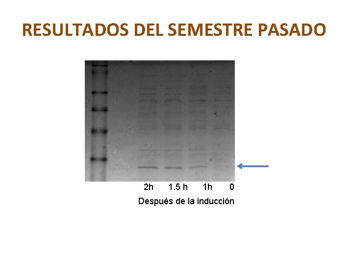 RESULTADOS DEL SEMESTRE PASADO 2 h 1. 5 h 1 h 0 Después de