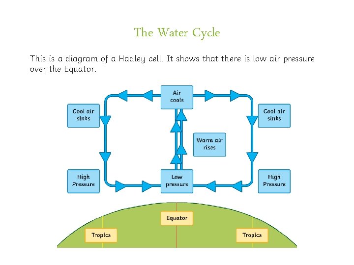 The Water Cycle This is a diagram of a Hadley cell. It shows that