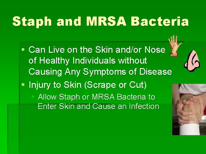 Staph and MRSA Bacteria § Can Live on the Skin and/or Nose of Healthy