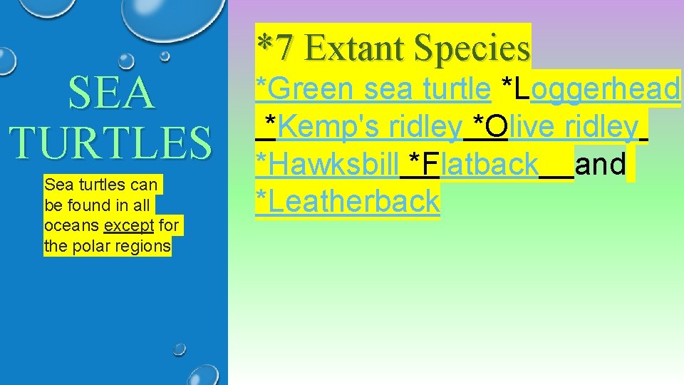 SEA TURTLES Sea turtles can be found in all oceans except for the polar