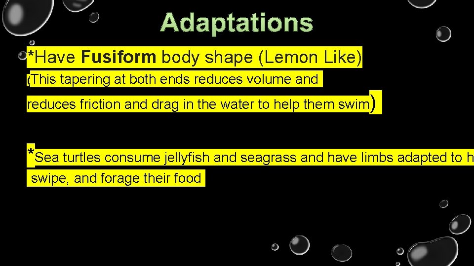 *Have Fusiform body shape (Lemon Like) (This tapering at both ends reduces volume and