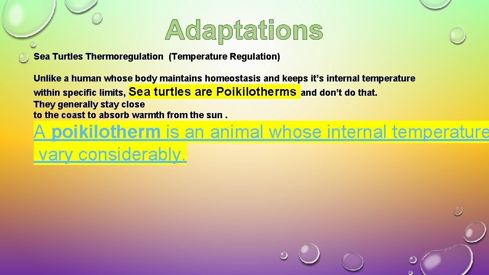 Sea Turtles Thermoregulation (Temperature Regulation) Unlike a human whose body maintains homeostasis and keeps