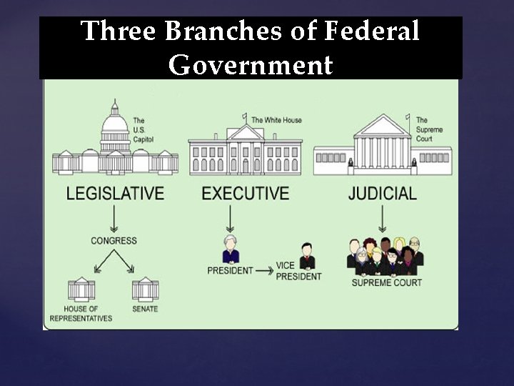 Three Branches of Federal Government 