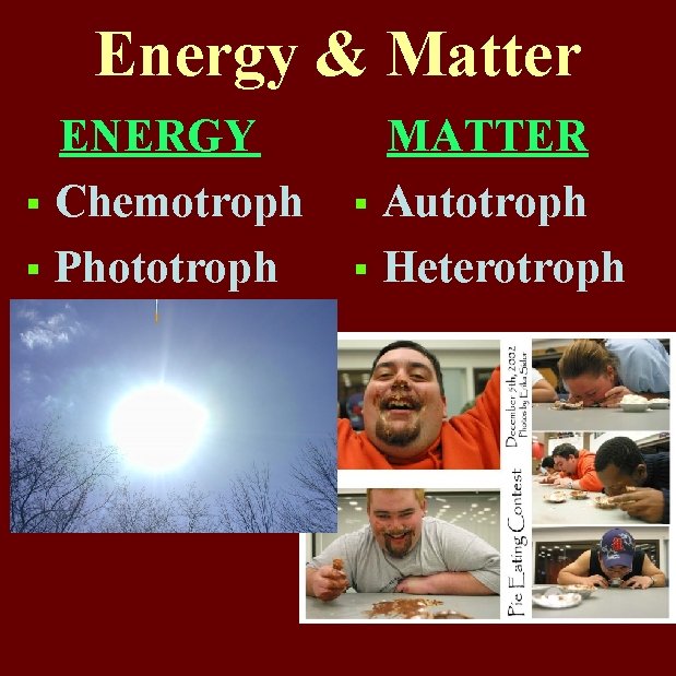 Energy & Matter ENERGY § Chemotroph § Phototroph MATTER § Autotroph § Heterotroph 