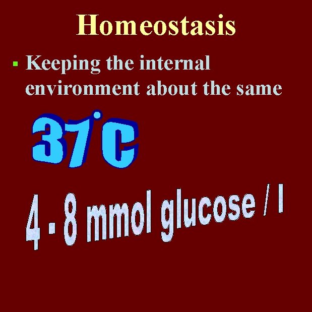 Homeostasis § Keeping the internal environment about the same 