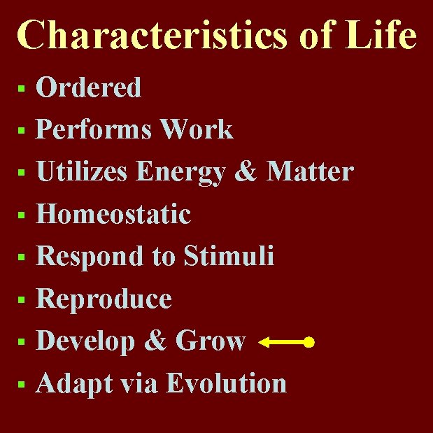 Characteristics of Life Ordered § Performs Work § Utilizes Energy & Matter § Homeostatic