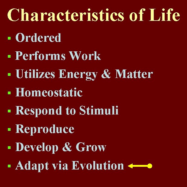 Characteristics of Life Ordered § Performs Work § Utilizes Energy & Matter § Homeostatic