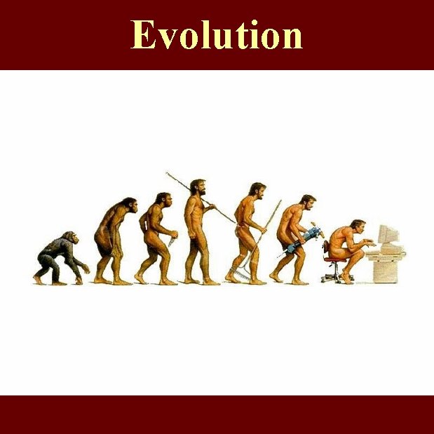 Evolution 