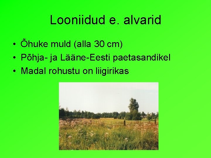 Looniidud e. alvarid • Õhuke muld (alla 30 cm) • Põhja- ja Lääne-Eesti paetasandikel Looniidud e. alvarid • Õhuke muld (alla 30 cm) • Põhja- ja Lääne-Eesti paetasandikel