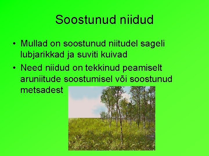 Soostunud niidud • Mullad on soostunud niitudel sageli lubjarikkad ja suviti kuivad • Need