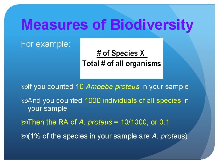 Measures of Biodiversity For example: If you counted 10 Amoeba proteus in your sample