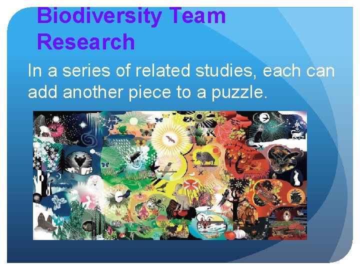 Biodiversity Team Research In a series of related studies, each can add another piece