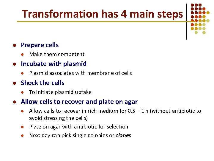 Transformation has 4 main steps l Prepare cells l l Incubate with plasmid l Transformation has 4 main steps l Prepare cells l l Incubate with plasmid l