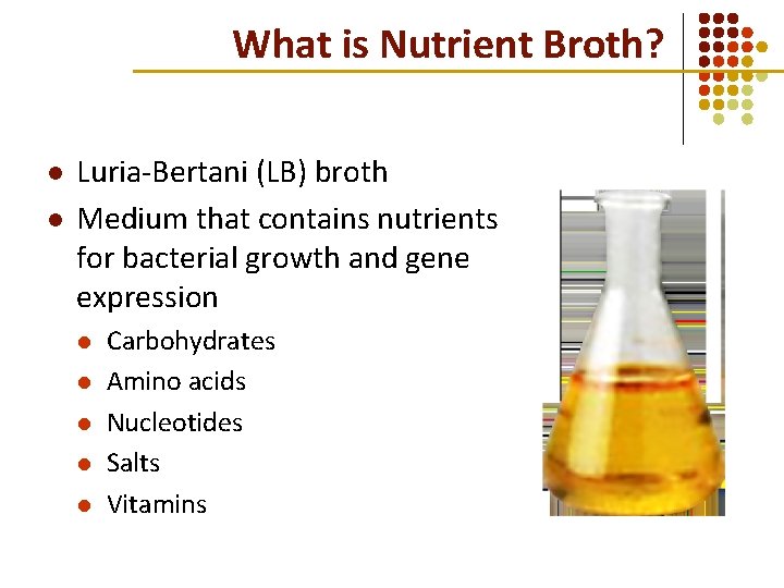 What is Nutrient Broth? l l Luria-Bertani (LB) broth Medium that contains nutrients for What is Nutrient Broth? l l Luria-Bertani (LB) broth Medium that contains nutrients for