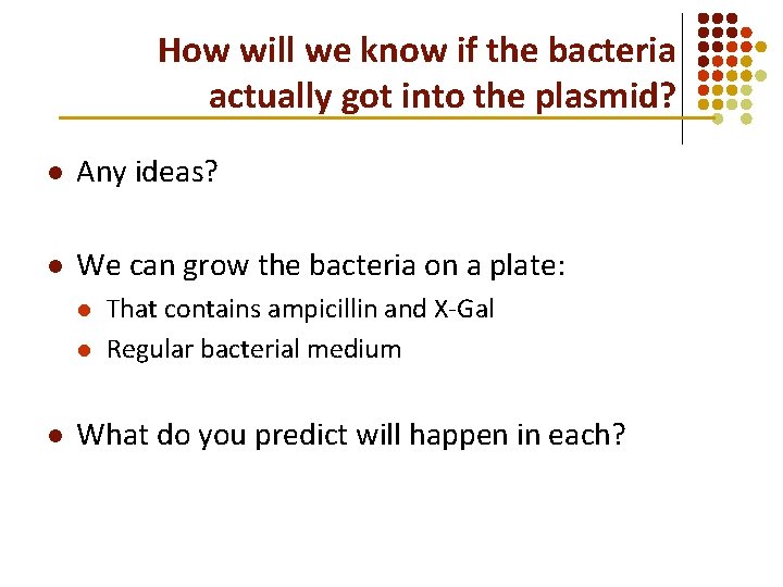 How will we know if the bacteria actually got into the plasmid? l Any How will we know if the bacteria actually got into the plasmid? l Any