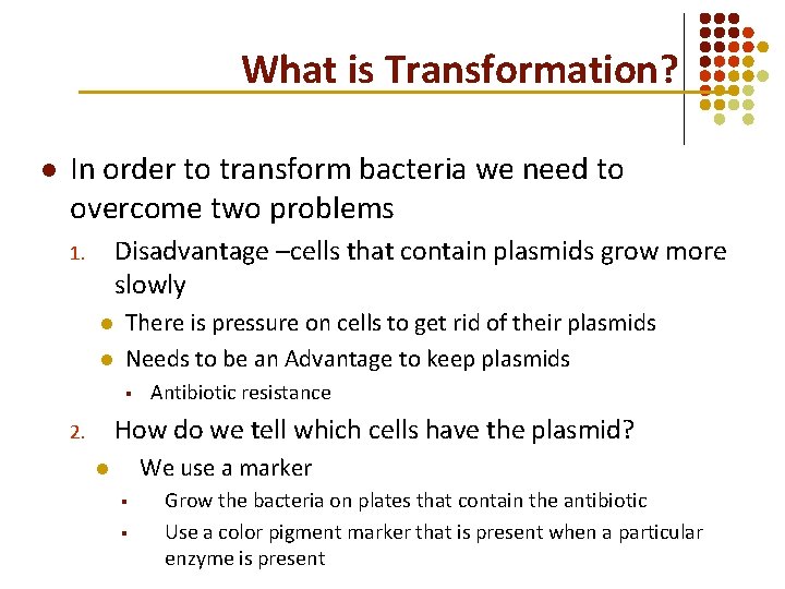 What is Transformation? l In order to transform bacteria we need to overcome two What is Transformation? l In order to transform bacteria we need to overcome two