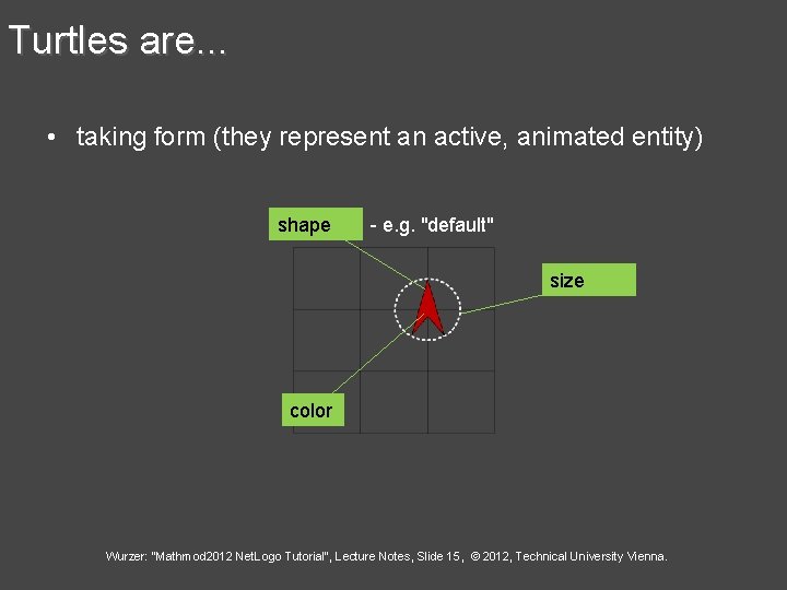 Turtles are. . . • taking form (they represent an active, animated entity) shape