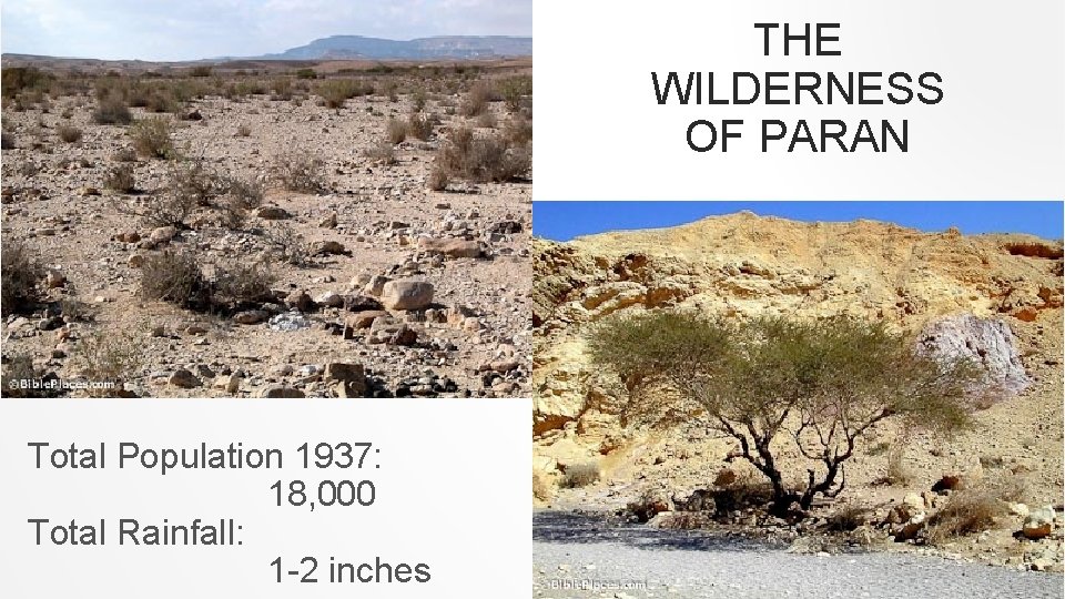 THE WILDERNESS OF PARAN Total Population 1937: 18, 000 Total Rainfall: 1 -2 inches