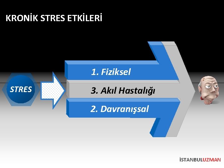 KRONİK STRES ETKİLERİ 1. Fiziksel STRES 3. Akıl Hastalığı 2. Davranışsal İSTANBULUZMAN 