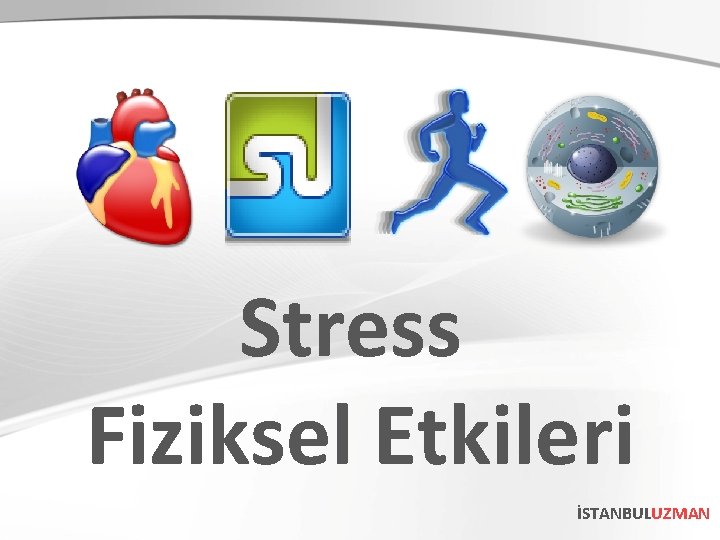 Stress Fiziksel Etkileri İSTANBULUZMAN 