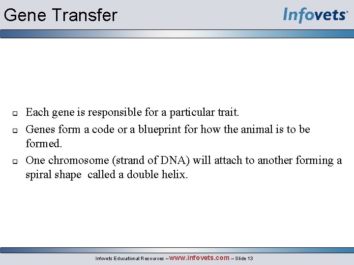 Gene Transfer q q q Each gene is responsible for a particular trait. Genes