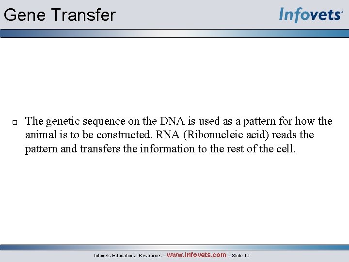 Gene Transfer q The genetic sequence on the DNA is used as a pattern