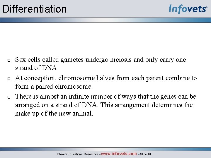 Differentiation q q q Sex cells called gametes undergo meiosis and only carry one