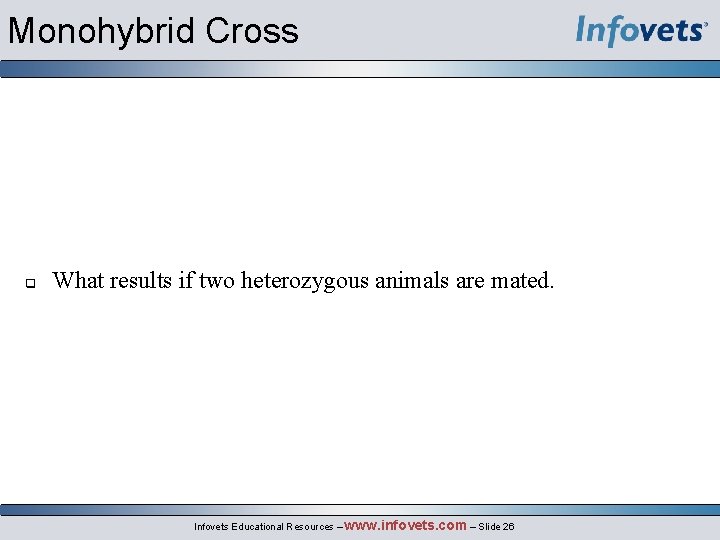 Monohybrid Cross q What results if two heterozygous animals are mated. Infovets Educational Resources